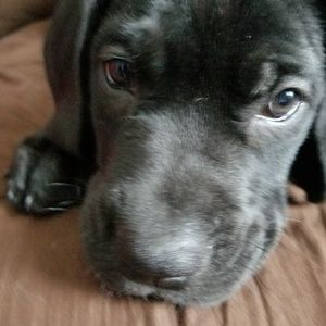 Welcome to my closet please enjoy your visit.